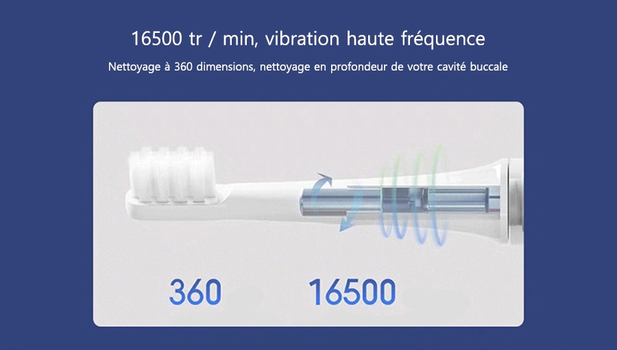 Brosse à dents à vibration de haute fréquence